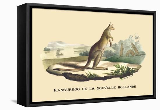 Kangouroo de la Nouvelle Hollande-E.f. Noel-Framed Stretched Canvas