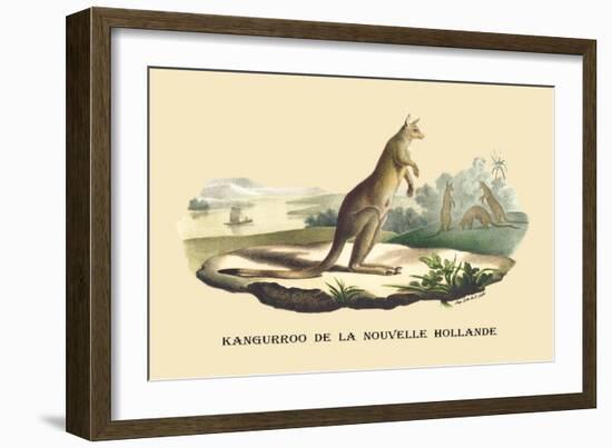 Kangouroo de la Nouvelle Hollande-E.f. Noel-Framed Art Print