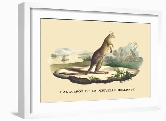 Kangouroo de la Nouvelle Hollande-E.f. Noel-Framed Art Print