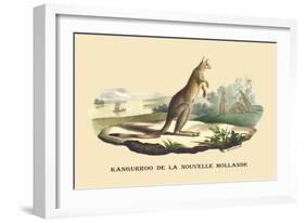 Kangouroo de la Nouvelle Hollande-E.f. Noel-Framed Art Print