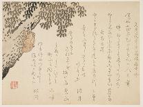 Shell of a Cicada, C.1848-53-Kangyoku-Giclee Print