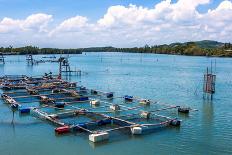 Cage Aquaculture Farming, Thailand-Kannapon-Photographic Print