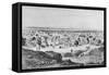 Kano City, Nigeria, 19th Century-null-Framed Stretched Canvas