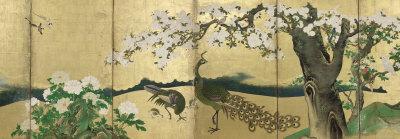 Cherry Blossoms and Peacocks-Kano Sansetsu-Framed Art Print