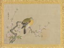 Album of Copies of Chinese Paintings, Album Leaf-Kano Tsunenobu-Laminated Giclee Print