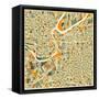 Kansas City Map-Jazzberry Blue-Framed Stretched Canvas