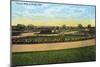 Kansas City, Missouri - View of Flower Beds in Swope Park-Lantern Press-Mounted Art Print