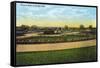 Kansas City, Missouri - View of Flower Beds in Swope Park-Lantern Press-Framed Stretched Canvas