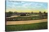 Kansas City, Missouri - View of Flower Beds in Swope Park-Lantern Press-Stretched Canvas