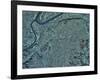 Kansas City, Missouri-Stocktrek Images-Framed Photographic Print