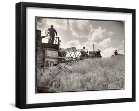 Kansas Farmer Driving Farmall Tractor as He Pulls a Manned Combine During Wheat Harvest-Margaret Bourke-White-Framed Photographic Print