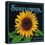 Kansas - Sunflower Brand Crate Label-Lantern Press-Framed Stretched Canvas