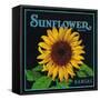 Kansas - Sunflower Brand Crate Label-Lantern Press-Framed Stretched Canvas