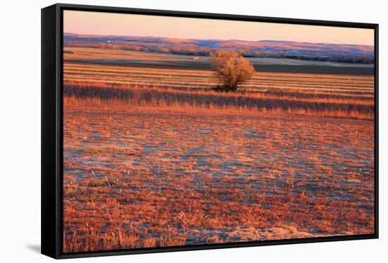 Kansas Sunset-photojohn830-Framed Stretched Canvas