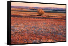 Kansas Sunset-photojohn830-Framed Stretched Canvas