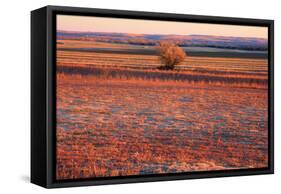 Kansas Sunset-photojohn830-Framed Stretched Canvas