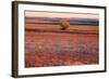 Kansas Sunset-photojohn830-Framed Photographic Print