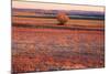 Kansas Sunset-photojohn830-Mounted Photographic Print