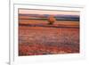 Kansas Sunset-photojohn830-Framed Photographic Print