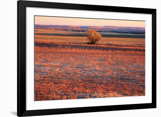 Kansas Sunset-photojohn830-Framed Photographic Print