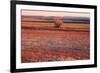 Kansas Sunset-photojohn830-Framed Photographic Print