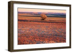 Kansas Sunset-photojohn830-Framed Photographic Print