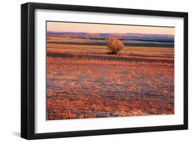 Kansas Sunset-photojohn830-Framed Photographic Print