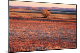 Kansas Sunset-photojohn830-Mounted Photographic Print