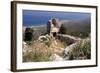 Kantara Castle, North Cyprus-Peter Thompson-Framed Photographic Print