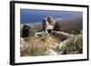 Kantara Castle, North Cyprus-Peter Thompson-Framed Photographic Print