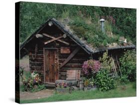 Kantishna Recorders Office, Denalia National Park, Alaska, USA-Dee Ann Pederson-Stretched Canvas