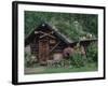 Kantishna Recorders Office, Denalia National Park, Alaska, USA-Dee Ann Pederson-Framed Photographic Print