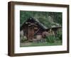 Kantishna Recorders Office, Denalia National Park, Alaska, USA-Dee Ann Pederson-Framed Photographic Print