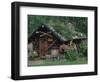 Kantishna Recorders Office, Denalia National Park, Alaska, USA-Dee Ann Pederson-Framed Photographic Print