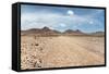 Kaokoland Game Reserve in Namibia-watchtheworld-Framed Stretched Canvas