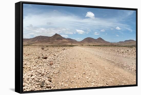 Kaokoland Game Reserve in Namibia-watchtheworld-Framed Stretched Canvas