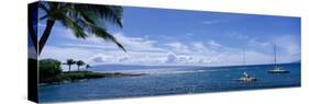 Kapalua Bay Maui Hawaii USA-null-Stretched Canvas