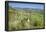 Kapelle Berghausen, Ebringen, Markgräfler Land, southern Black Forest, Baden-Wurttemberg, Germany-Markus Lange-Framed Photographic Print