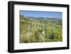 Kapelle Berghausen, Ebringen, Markgräfler Land, southern Black Forest, Baden-Wurttemberg, Germany-Markus Lange-Framed Photographic Print