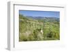 Kapelle Berghausen, Ebringen, Markgräfler Land, southern Black Forest, Baden-Wurttemberg, Germany-Markus Lange-Framed Photographic Print