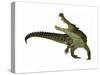 Kaprosuchus Is an Extinct Genus of Crocodile-null-Stretched Canvas