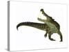 Kaprosuchus Is an Extinct Genus of Crocodile-null-Stretched Canvas