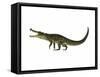 Kaprosuchus Is an Extinct Genus of Crocodile-null-Framed Stretched Canvas