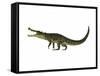 Kaprosuchus Is an Extinct Genus of Crocodile-null-Framed Stretched Canvas