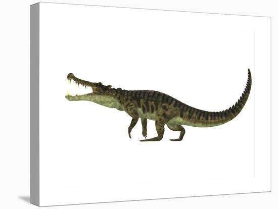 Kaprosuchus Is an Extinct Genus of Crocodile-null-Stretched Canvas