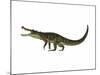 Kaprosuchus Is an Extinct Genus of Crocodile-null-Mounted Art Print