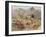 Kapyong Action, Korea, the Royal Australian Reg (Oil on Canvas)-Terence Cuneo-Framed Giclee Print