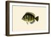 Kara Hamoowah-John Whitchurch Bennett-Framed Art Print