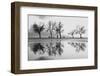 Karaa±Yaka'Dan Bir Yansa±Ma-Ali Ayer-Framed Photographic Print