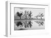 Karaa±Yaka'Dan Bir Yansa±Ma-Ali Ayer-Framed Photographic Print